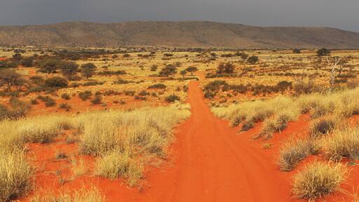 Red dunes of the Kalahari