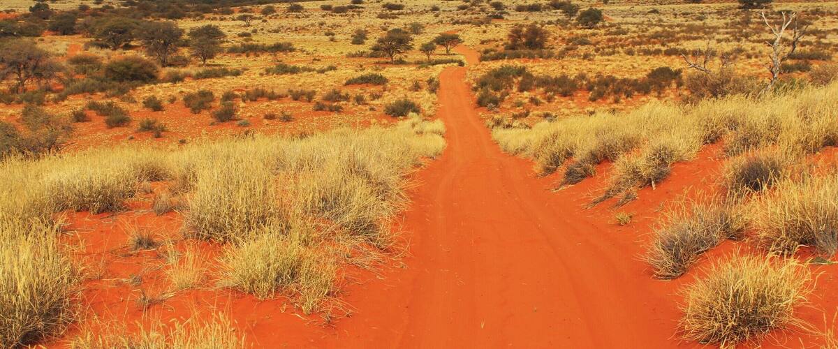 A red dirt road leading through a desert landscape with sparse vegetation and a mountain in the background.