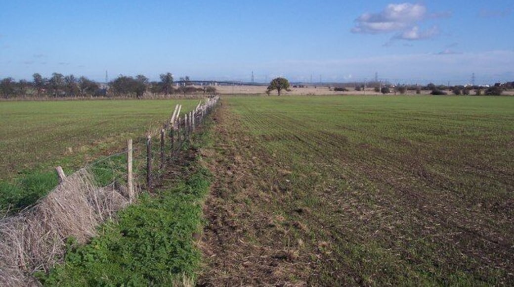 Saxon Shore Way heading to Raspberry Hill The long distance path heads along a grass byway between two fields. In the background is the Sheppey Way Bridge.