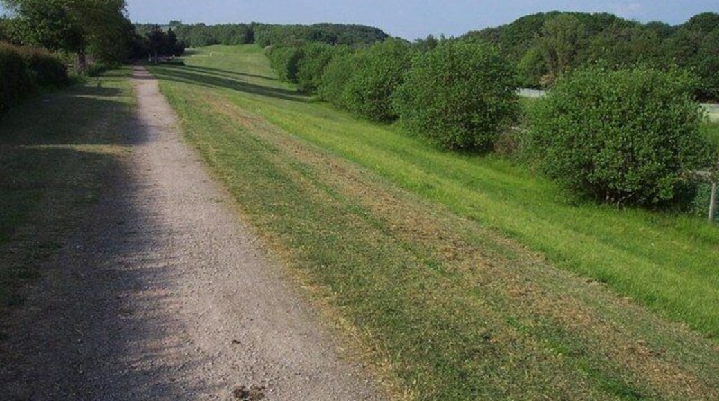 Reclaimed Land. Between road and railway this land used to be part of West Cannock Colliery