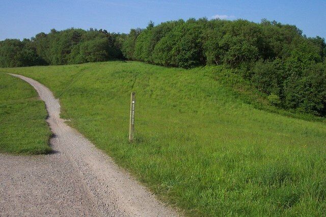Walking Path. Part of the Cross Chase Walk on the site of the former West Cannock Colliery