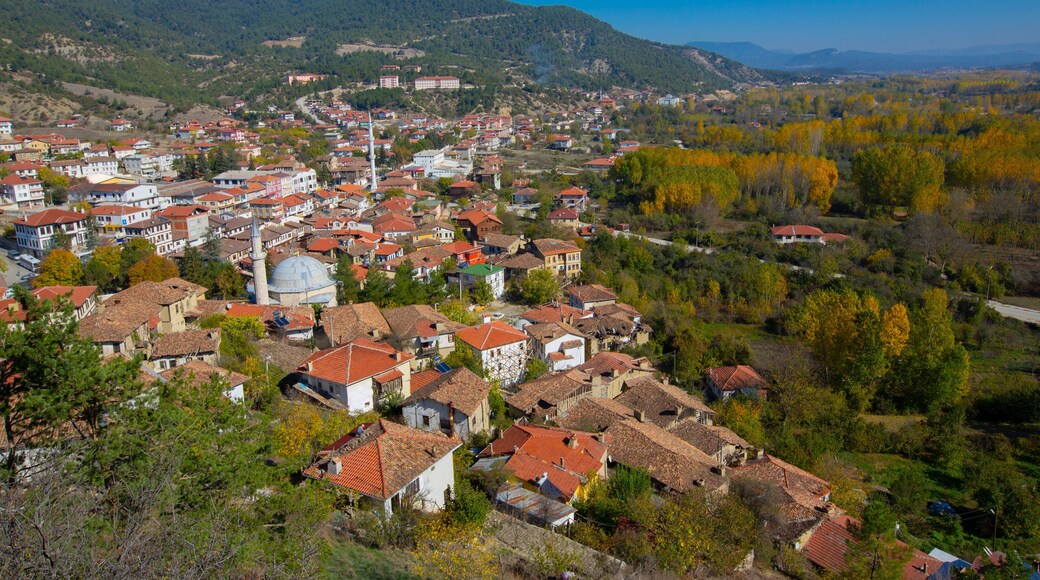 Panorama of Taraklı town view with old Ottoman houses. Located in Sakarya province and is one of Cittaslow Movement in Turkey.