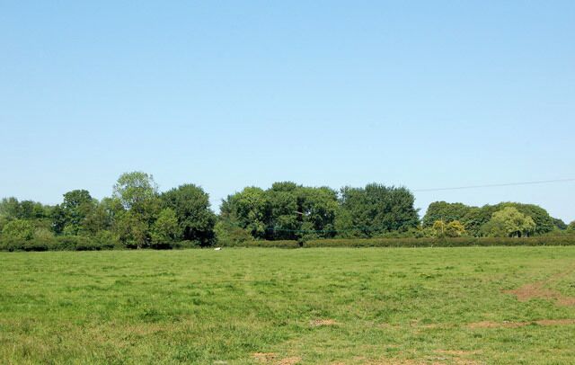 Water meadow east of Cropredy Looking north from Williamscot Road across water meadows beside the River Cherwell.