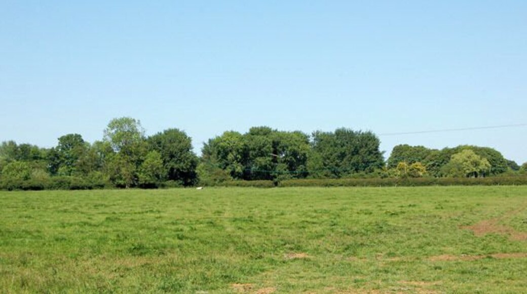 Water meadow east of Cropredy Looking north from Williamscot Road across water meadows beside the River Cherwell.