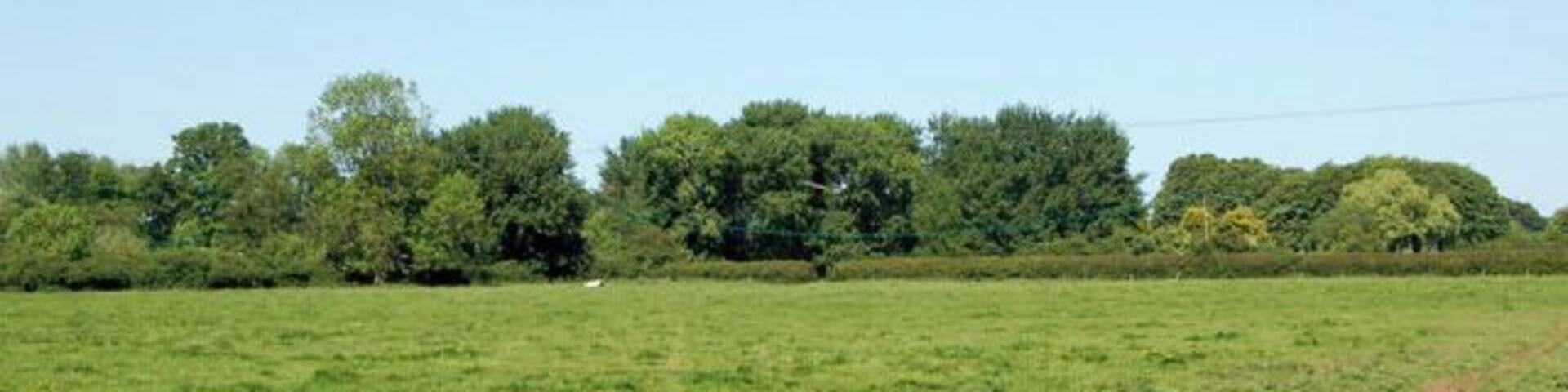 Water meadow east of Cropredy Looking north from Williamscot Road across water meadows beside the River Cherwell.
