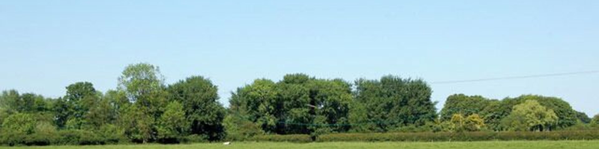 Water meadow east of Cropredy Looking north from Williamscot Road across water meadows beside the River Cherwell.
