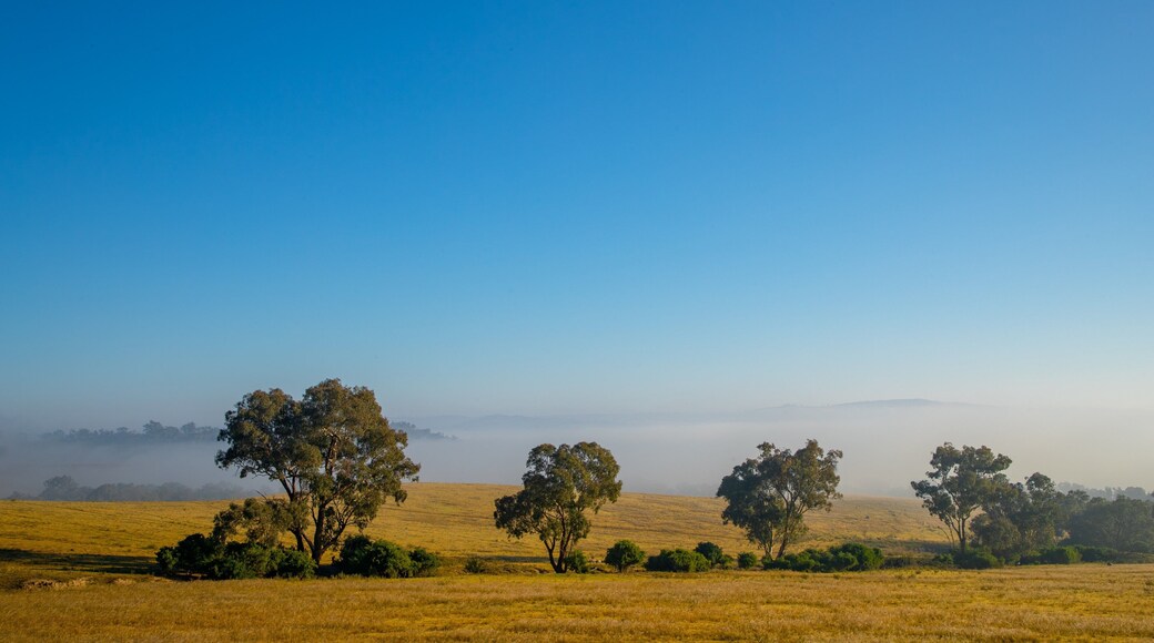 Lucknow featuring landscape views and tranquil scenes