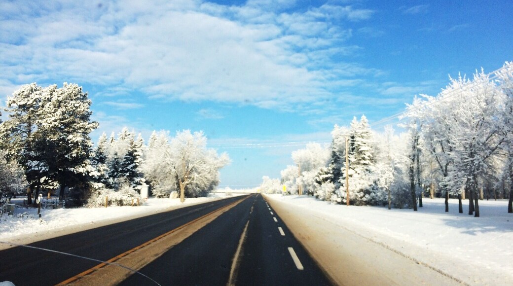 There isn't anything better than an Alberta winter 😍 Bentley is a tiny town an hour from Edmonton. #travelalberta #blue