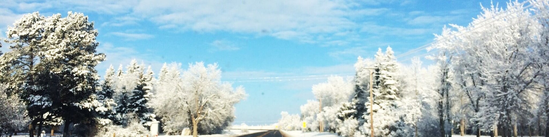 There isn't anything better than an Alberta winter 😍 Bentley is a tiny town an hour from Edmonton. #travelalberta #blue
