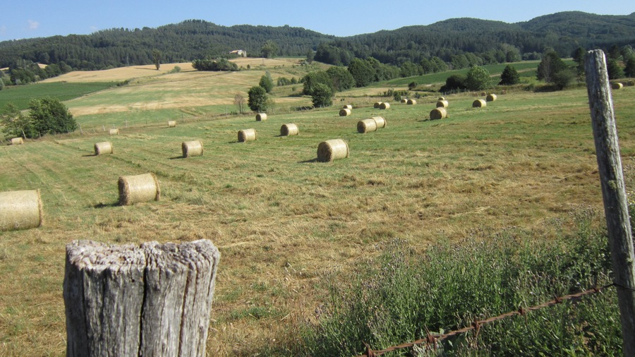 Bocca di Piazza
