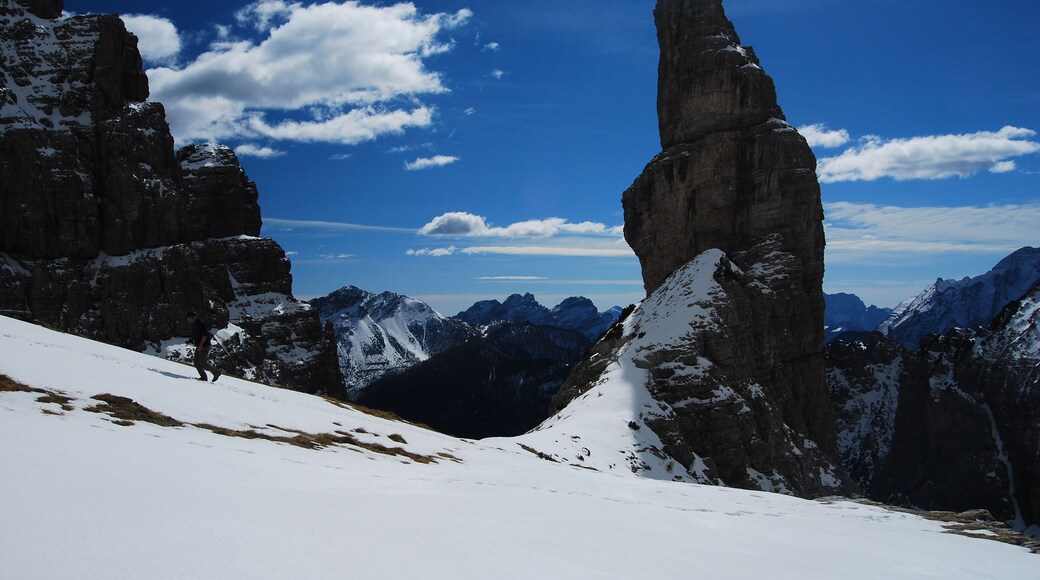 Parco naturale delle Dolomiti Friulane (Q683241)