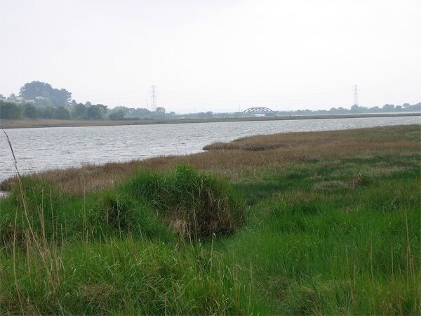 Lytchett Bay Turlin Moor is on the other side of the water on the left. The bridge between the pylons carries the London (Waterloo)  Weymouth line across the water at Holton Point. The up-line direction towards Poole Station is to the left.