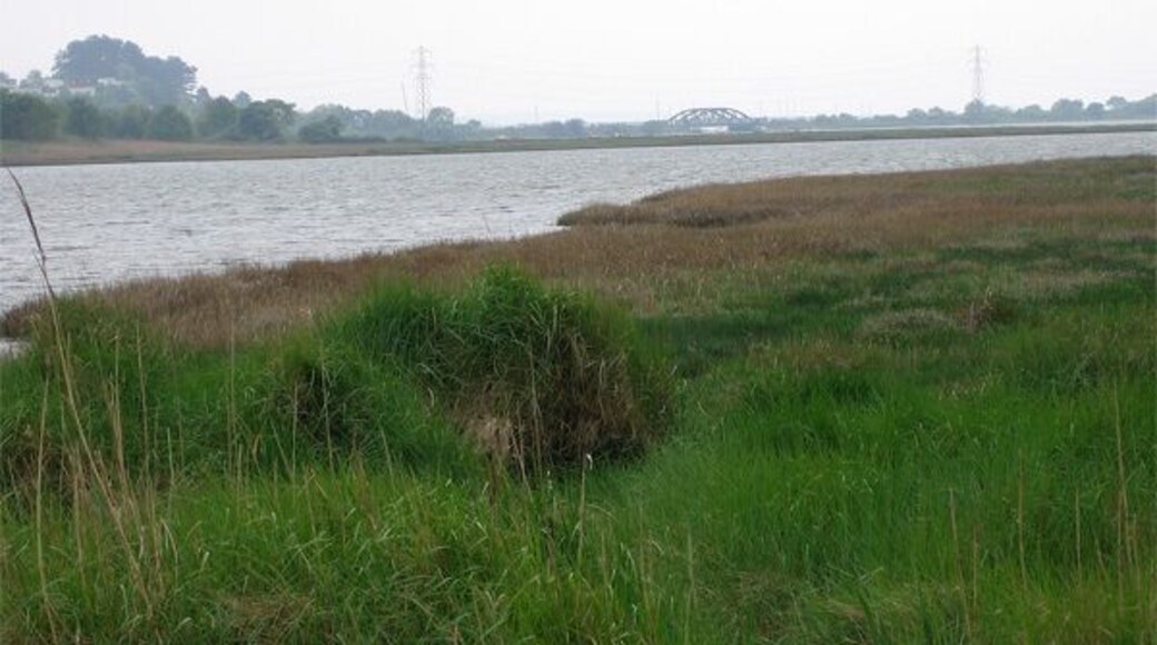 Lytchett Bay Turlin Moor is on the other side of the water on the left. The bridge between the pylons carries the London (Waterloo) Weymouth line across the water at Holton Point. The up-line direction towards Poole Station is to the left.