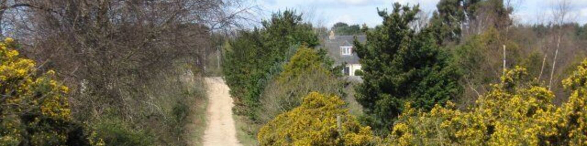 Poor Common Lane A straight, hard lane, bordered by gorse and young shire horses. Unfortunately, a main road at each end makes this a rat-run.