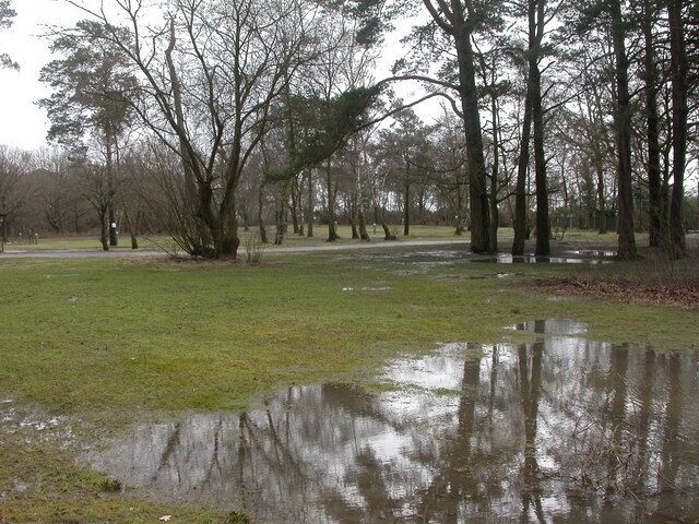 Beacon Hill Touring Park Fair to say that the owners would not use this image for advertising! The site is currently closed (until Easter), and very wet. Note the many blue power supply posts. http://www.beaconhilltouringpark.co.uk/
