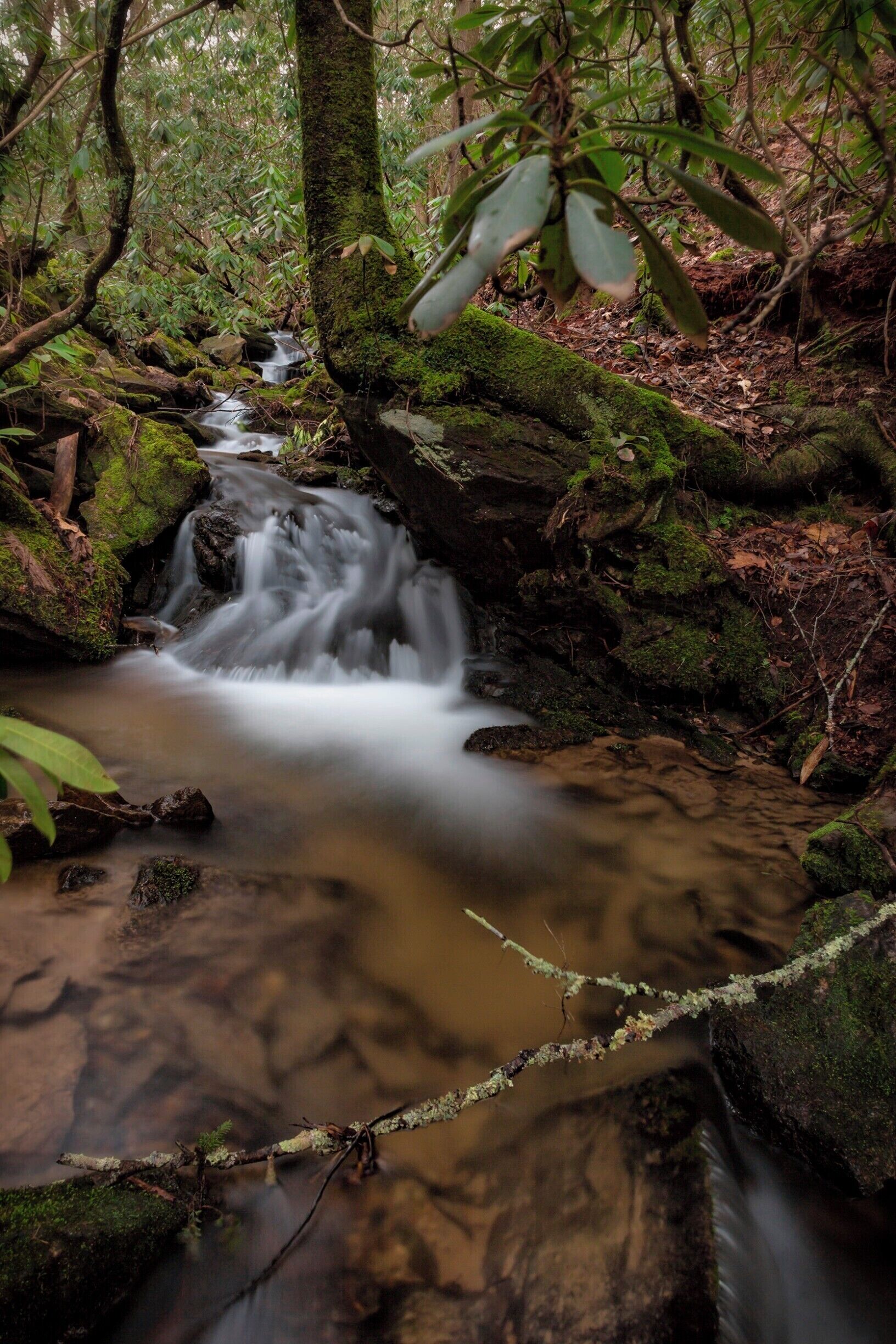 You know, few places are like the smoky mountains. Deep in the forest you will not find beautiful expansive vistas. You may walk through it and say to yourself, not as beautiful as the rockies or Alps. But, if you let yourself just experience this place you will find a calmness and sense of wonderment you can not find anywhere else. I found that here. I climbed down an embankment and walked up the stream, set up my camera and just sat on a rock while the rain came down all around me. I was under a giant mountain laurel protected from the rain, but still able to hear it. The smell of earth all around me, the sounds of from the cascade of water in front and rain all around. I honestly wish I could capture the experience with more than just a photo. I took the photo, but the experience is what will stay with me. I challenge you to find a place like this, sit there not thinking about anything except where you are and take it all in. Everything.
