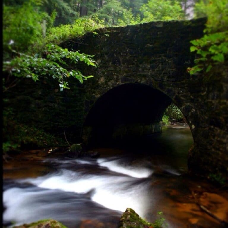 Originally, this photo was take on the way to a national park fish hatchery, which is just down the road this photo was taken. The fish hatchery has odd hours, so call ahead, but is worth the drive. This road is a national forest service road, so expect one lane with pull outs. 

This may be the most beautiful undiscovered drive in Georgia. It offers everything you want in southern appalachian mountains. The road follows a stream for over two miles, there are a few small waterfalls, two beautiful farms with horses roaming, distant rolling mountains, a fish hatchery, trails to hike, and an extremely small camping area. If your in the area it's about a 15 minute drive one way and I would say it's a must do.