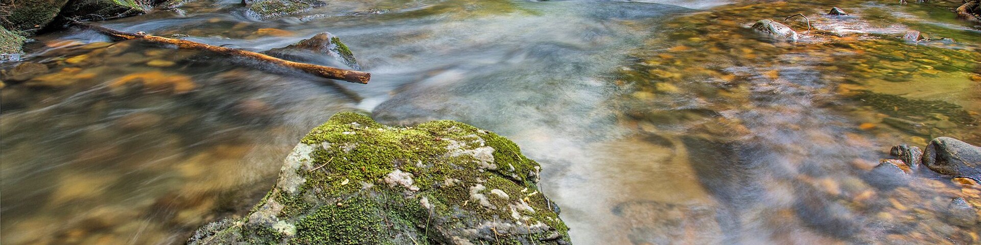 Coopers creek is a National wildlife Management area. It offers a campground and campsites along its 10 miles road that connects Blairsville with the west side of the Georgian appalachian mountains. Cooper Creek travels alongside the road the entire way. It is great for trout fishing.