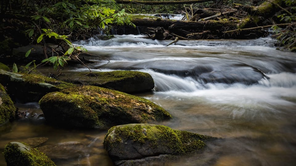 A flowing river with moss-covered rocks and dense green foliage in the background.