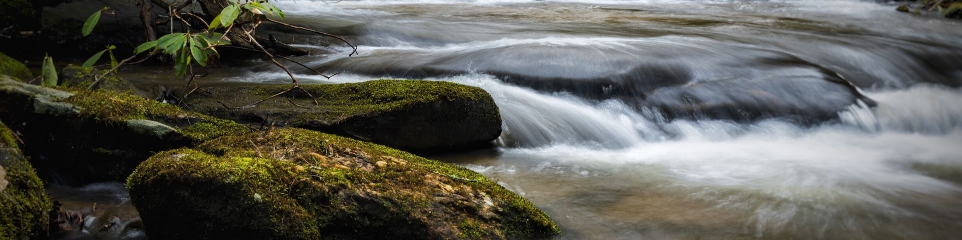 Near this tiny, but great campground you can find multiple streams with plenty of trout, stocked USFS, and can walk up all of these steams and find multiple cascades. It's a wonderful little hidden gem of a campground, but only 9 campsites (first come first serve) so cone first and get the site that backs up to the stream.