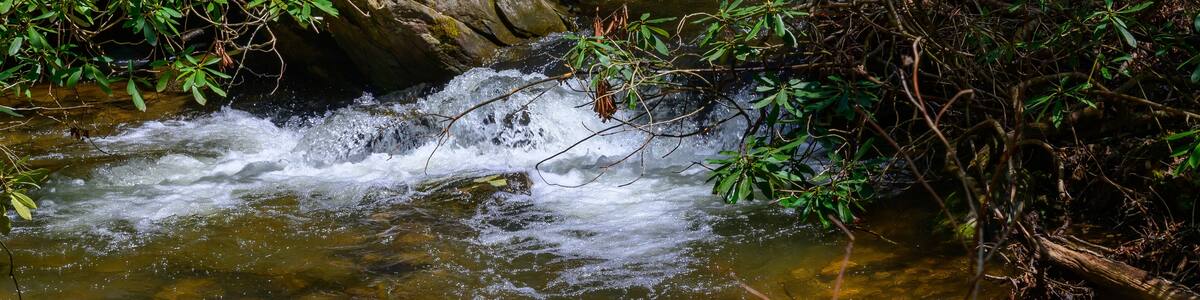Rapids on Sea Creek, near Suches, Georgia.