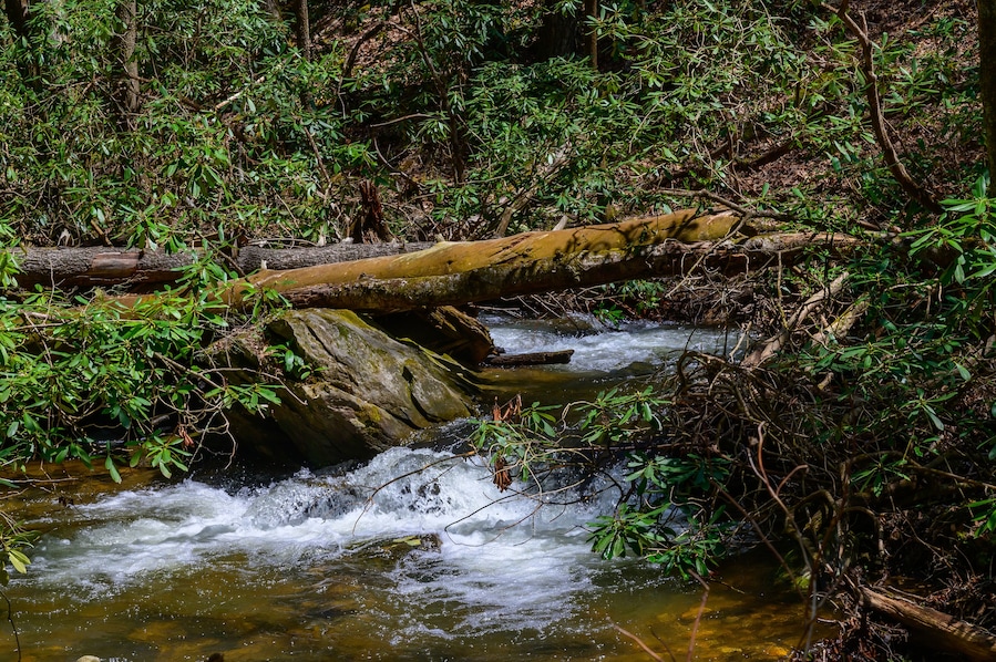Rapids on Sea Creek, near Suches, Georgia.