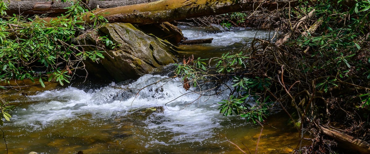 Rapids on Sea Creek, near Suches, Georgia.