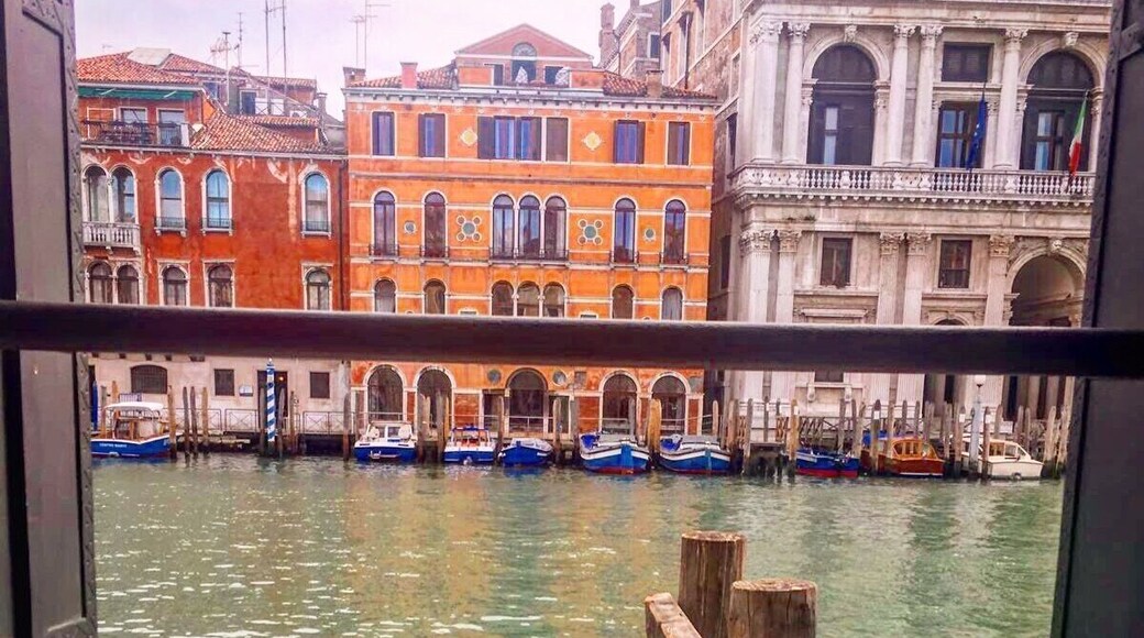 Welcome to the Grand Canal, Venezia