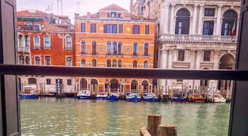 Welcome to the Grand Canal, Venezia
