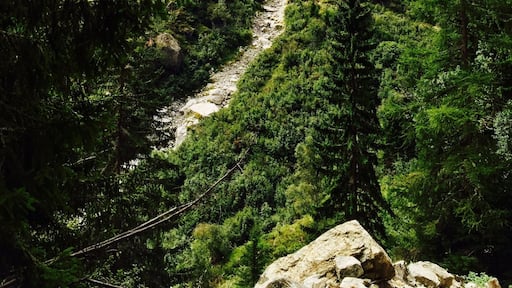 Hiking the Bovine Alp outside of Col de Forclaz on the way to Champex