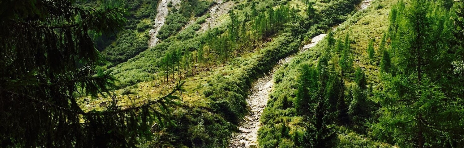 Hiking the Bovine Alp outside of Col de Forclaz on the way to Champex
