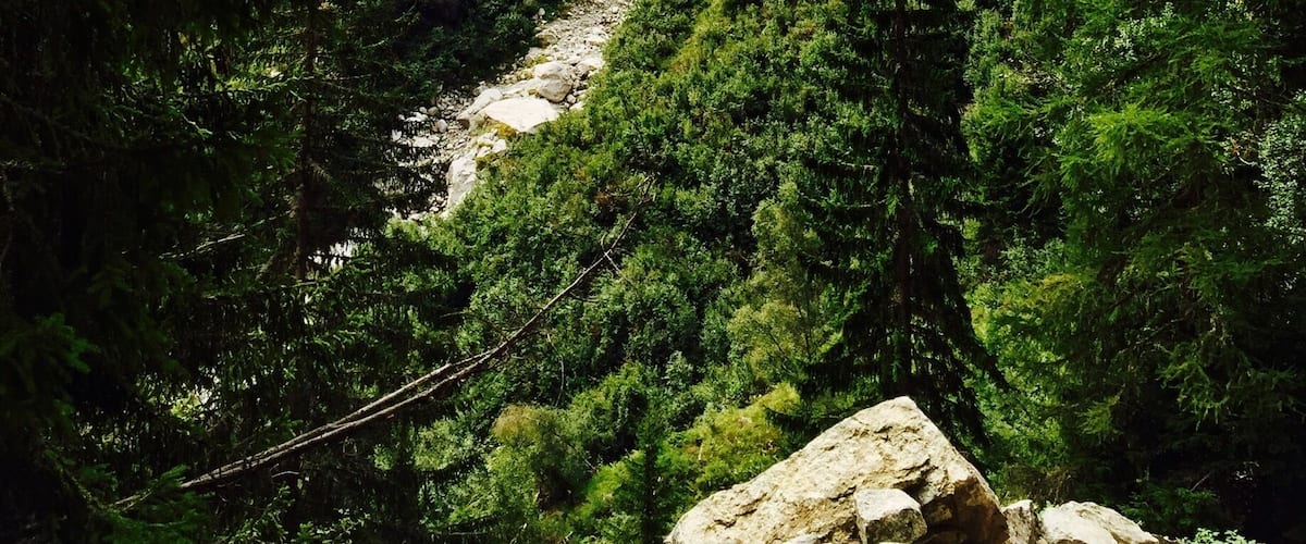 A mountainous landscape with a winding river, dense forests, and rocky terrain.