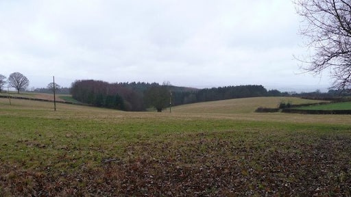 View west of Old Gore Across mixed arable and pasture land with the woods of Eaton Park in the centre.
