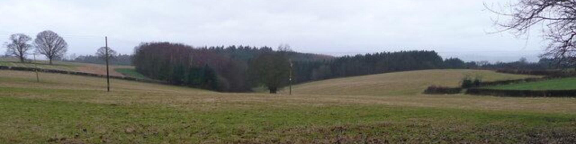 View west of Old Gore Across mixed arable and pasture land with the woods of Eaton Park in the centre.
