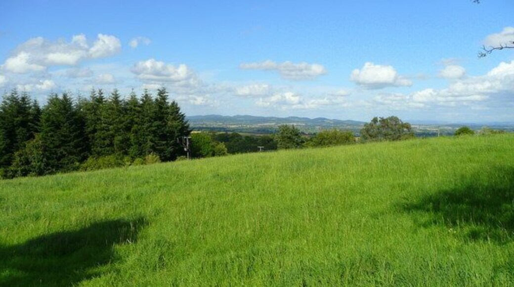 Pasture on the north side of Perrystone Hill 2 View north-east with the Malvern Hills in the distance.