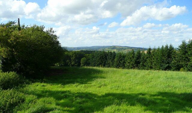 Pasture on the north side of Perrystone Hill Looking north over Yatton Wood with the Marcle Ridge and TV mast in the distance.