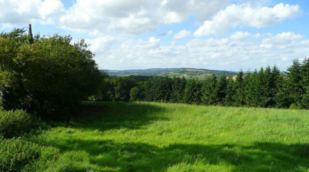 Pasture on the north side of Perrystone Hill Looking north over Yatton Wood with the Marcle Ridge and TV mast in the distance.