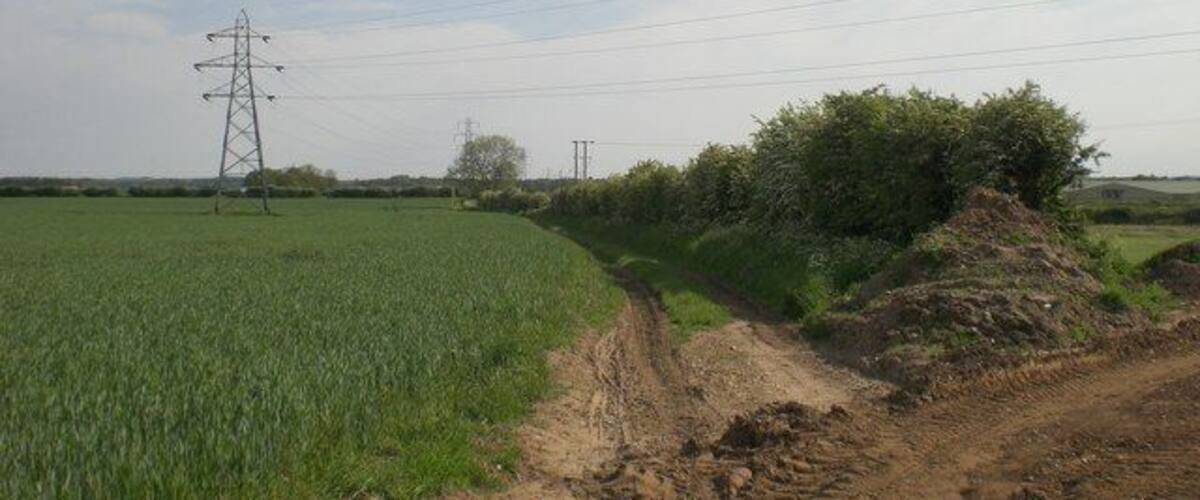 A rural landscape with a dirt path, green fields, and power lines.