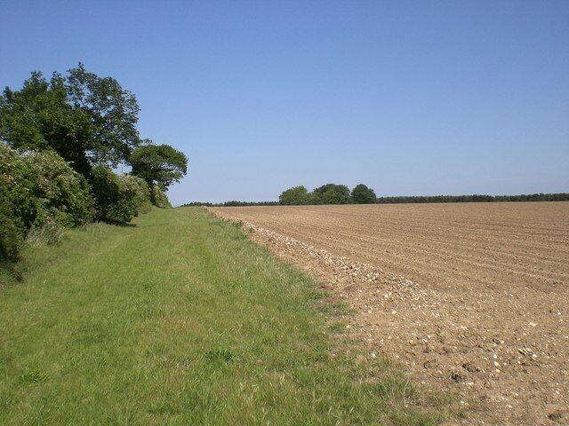 Farmland east of Stiffkey Road, Warham