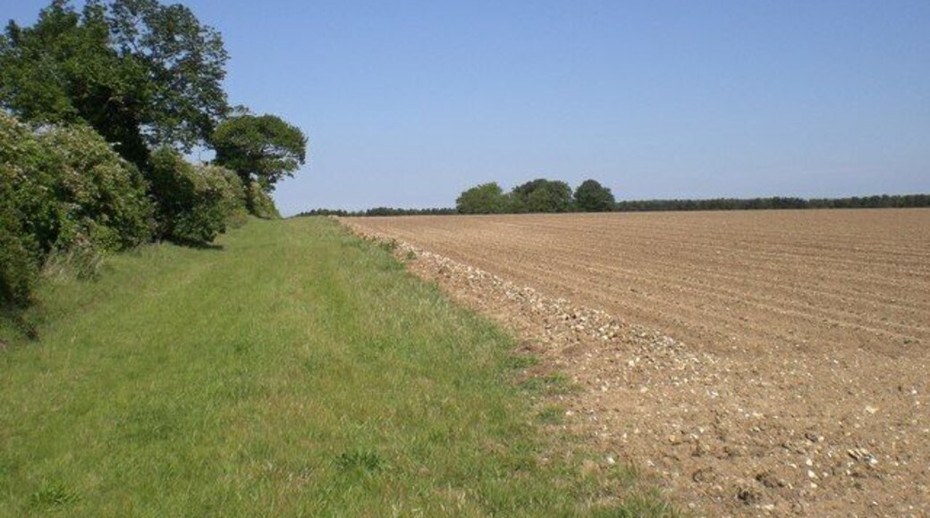 Farmland east of Stiffkey Road, Warham