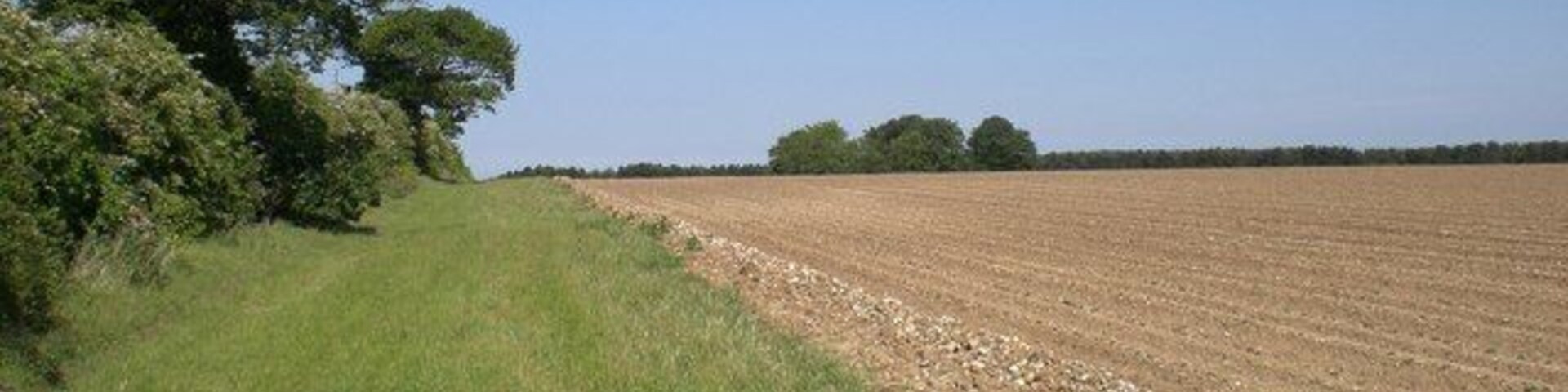 Paisaje rural con un campo arado, un sendero cubierto de hierba y árboles a lo lejos.