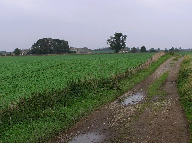 Bridleway Looking North on Bridleway from Comfort Lane to Warrener Lane. With Pond Dale Farm on the left.