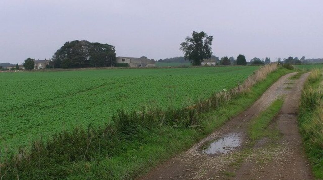 Bridleway Looking North on Bridleway from Comfort Lane to Warrener Lane. With Pond Dale Farm on the left.