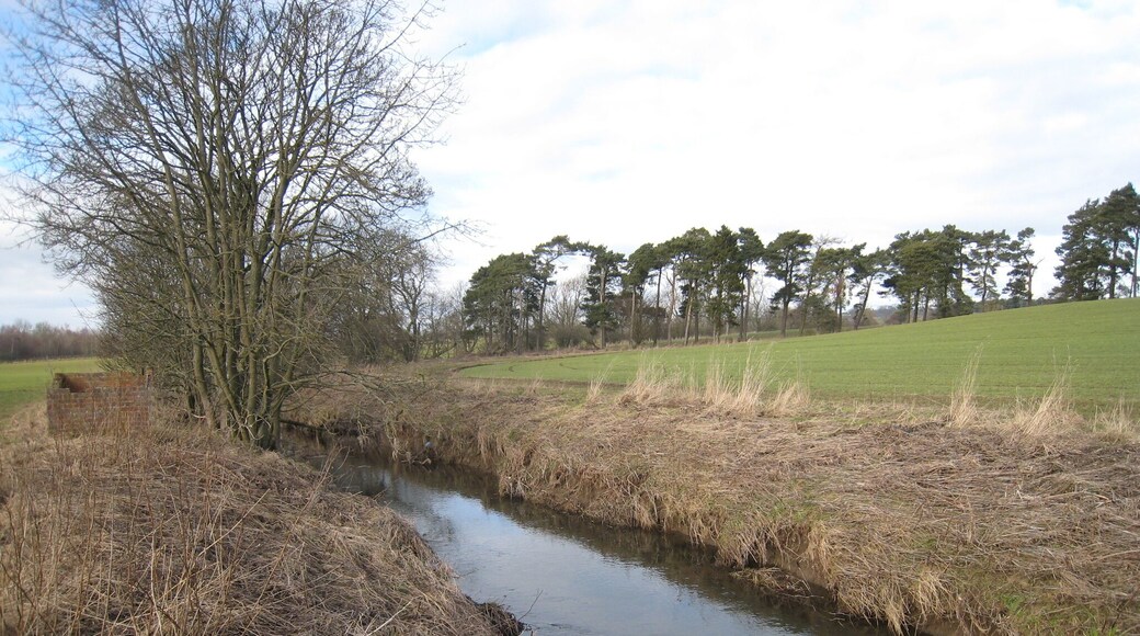 Holme Beck This photograph shows a view of Holme Beck as it approaches Whashton Bridge. The picture was taken looking in a north-westerly direction towards Ravensworth.