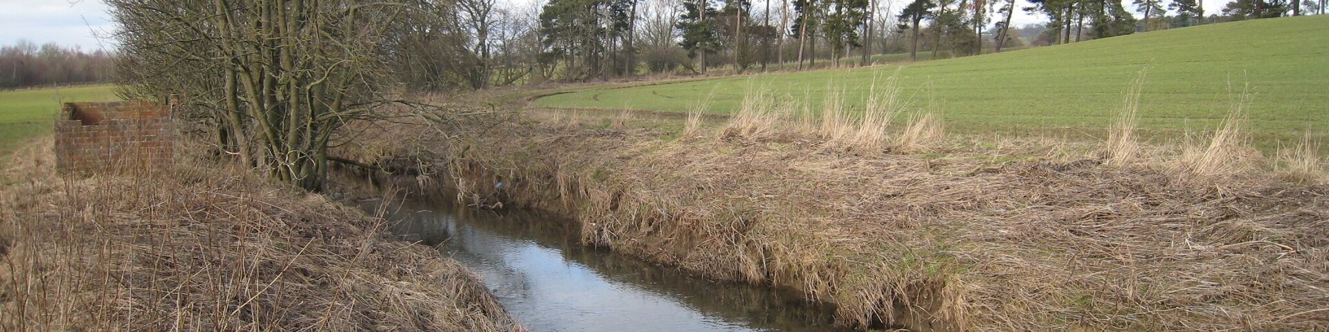 Holme Beck This photograph shows a view of Holme Beck as it approaches Whashton Bridge. The picture was taken looking in a north-westerly direction towards Ravensworth.