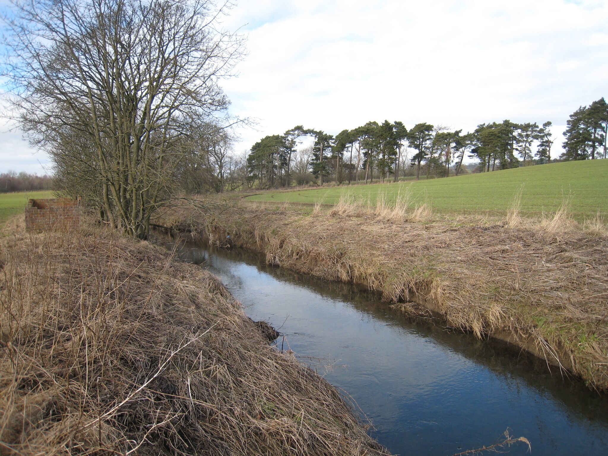 A narrow water channel with dry grass on the banks, surrounded by trees and open fields.