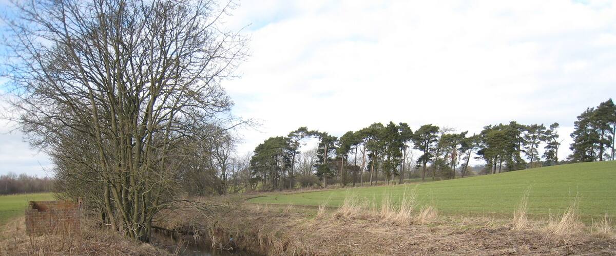 A narrow water channel with dry grass on the banks, surrounded by trees and open fields.