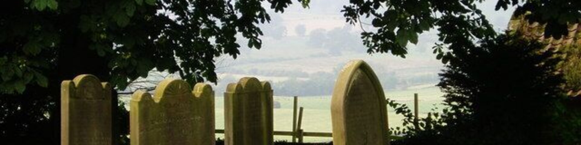 Un cementerio con lápidas y un árbol en primer plano.