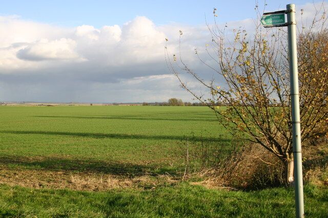 Footpath and Field Footpath and field off Wheatsheaf road