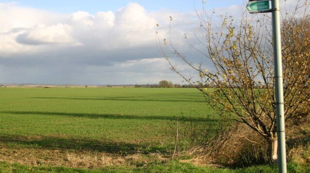 Footpath and Field Footpath and field off Wheatsheaf road